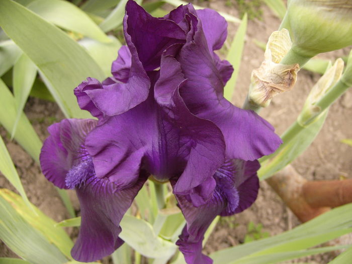 P1250669