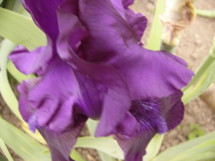 P1250671