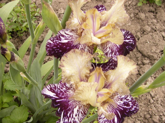 P1250676