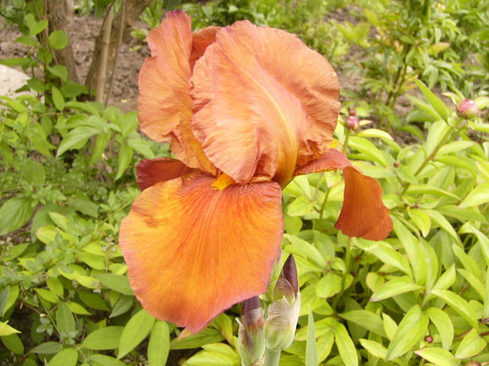 P1250678