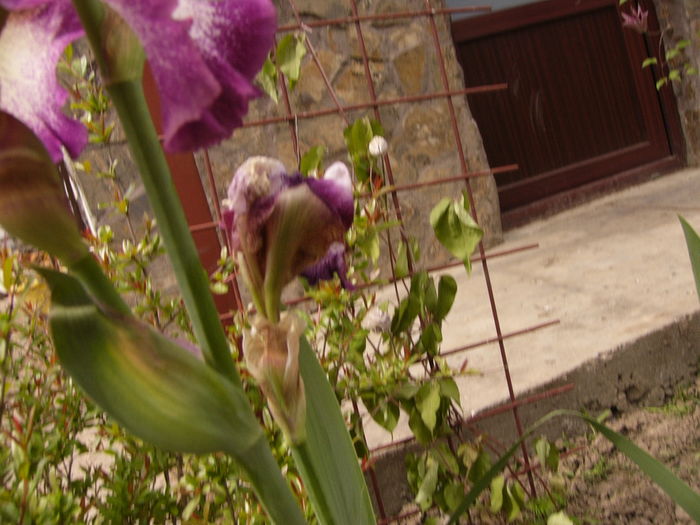 P1250687