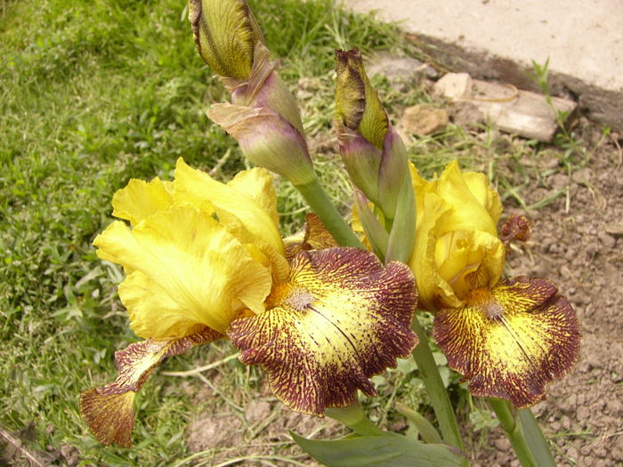 P1250689