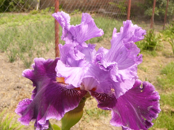 P1250692