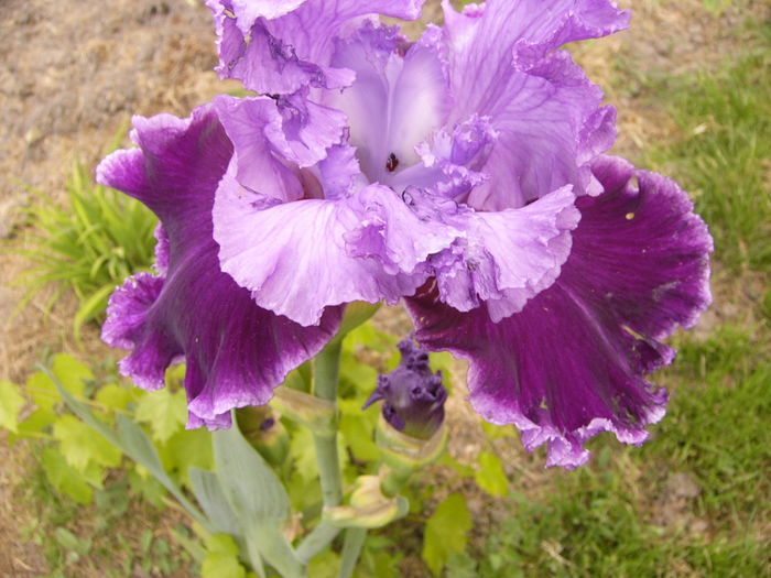 P1250694
