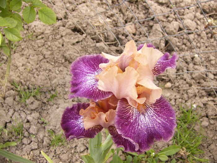 P1250696