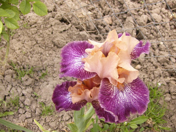 P1250697