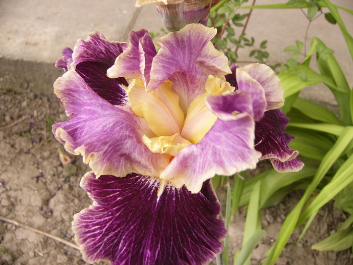 P1250700