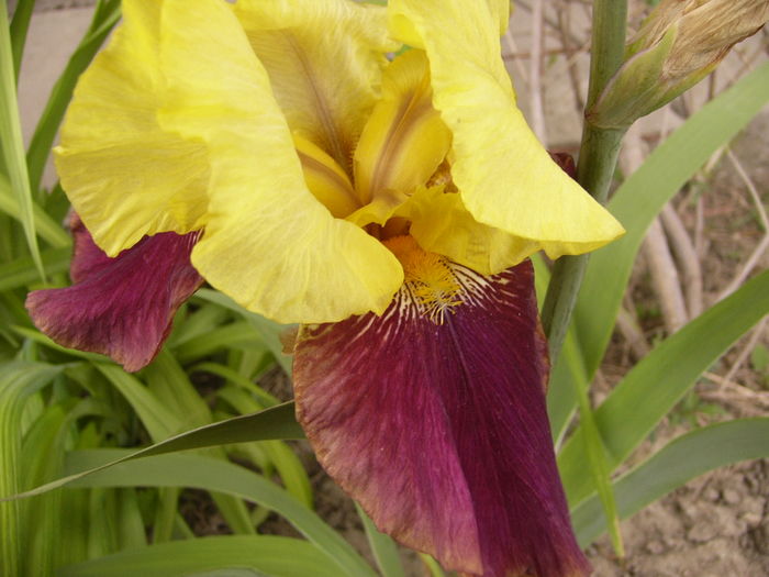 P1250703