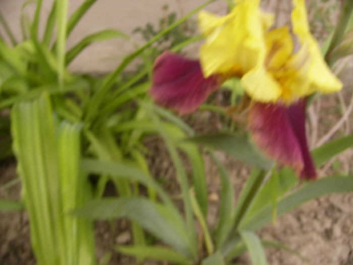 P1250704