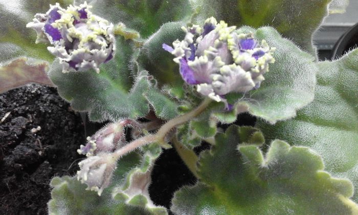 20160506_172217