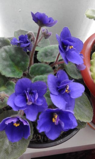20160506_172357