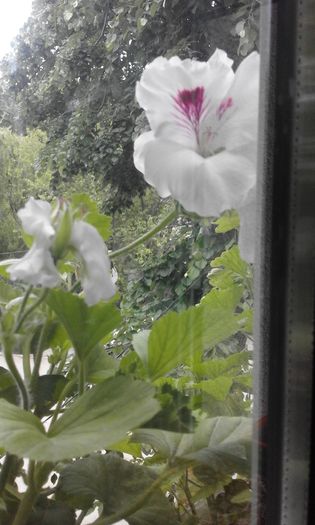 20160506_172508
