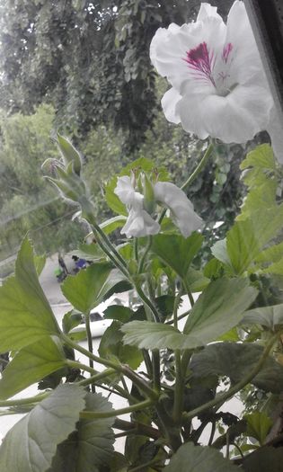 20160506_172520