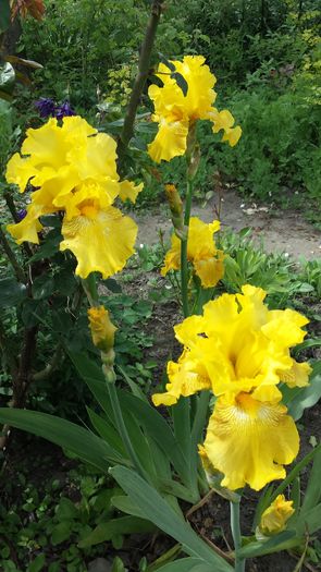 20160502_152202
