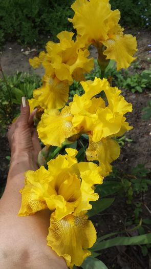 20160502_152234