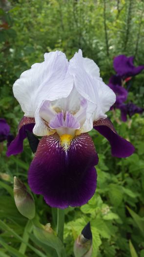 20160502_152316