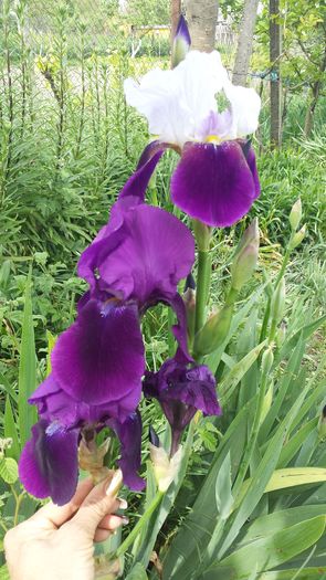 20160502_152406