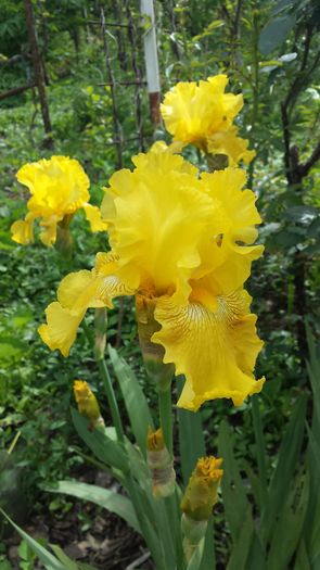 20160502_152458