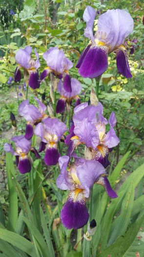 20160502_152635