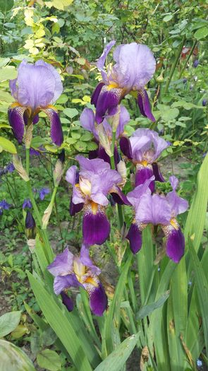 20160502_152623