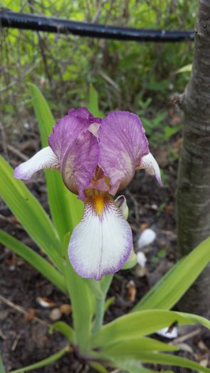 20160503_101722
