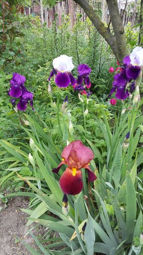 20160503_102218