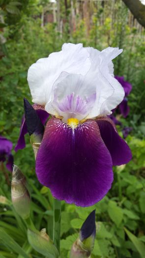 20160503_102236