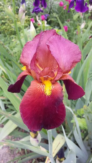20160503_102224