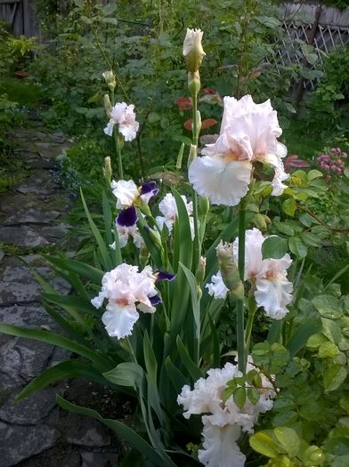 WP_20160506_041