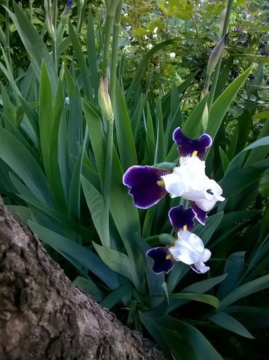 WP_20160506_046