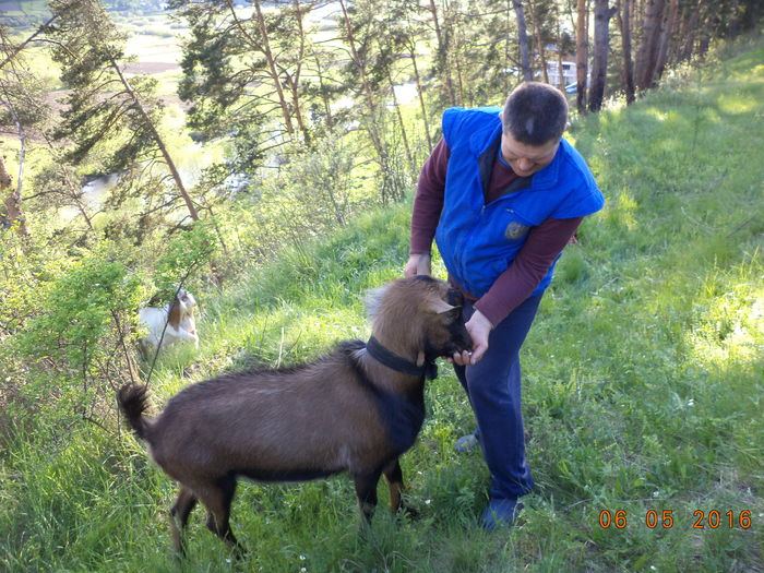 DSC00046 - URMASII LUI CEZAR