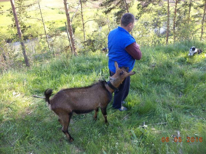 DSC00051 - URMASII LUI CEZAR