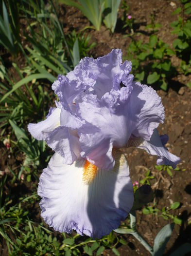 Grecian skies - GRADINA 2016-1