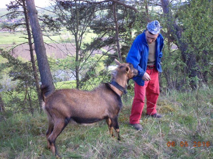 Urmasul lui Cezar tot mascul
