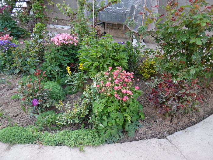 005 - Primavara in gradina 2