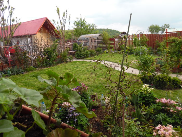 069 - Primavara in gradina 2