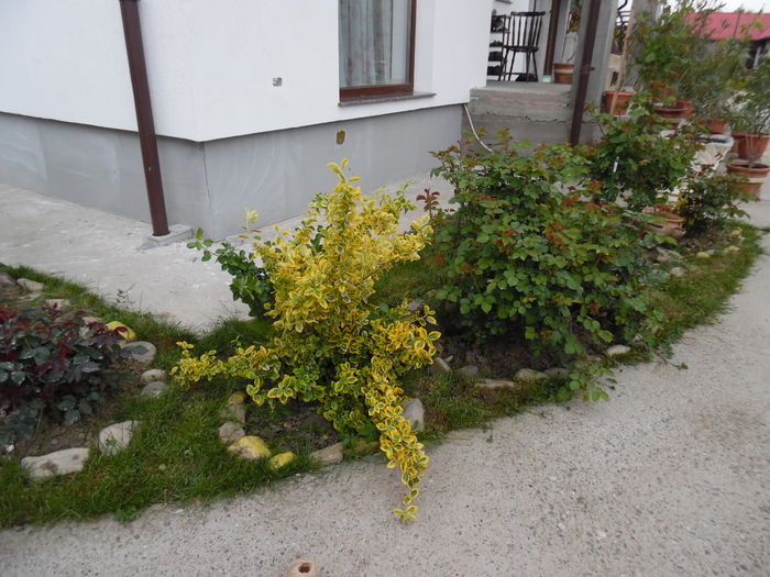 099 - Primavara in gradina 2