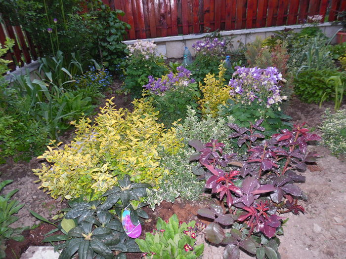 113 - Primavara in gradina 2