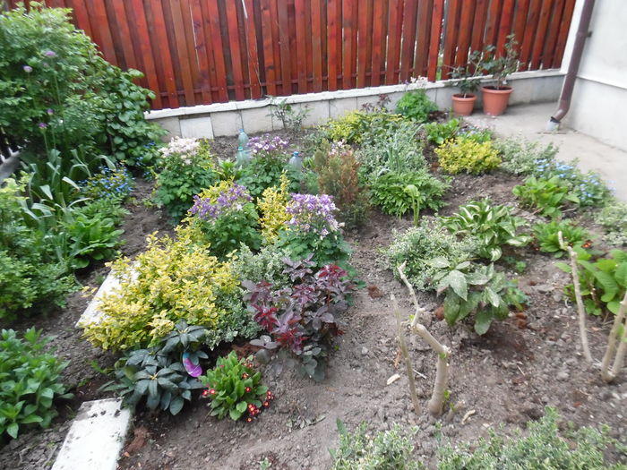 115 - Primavara in gradina 2