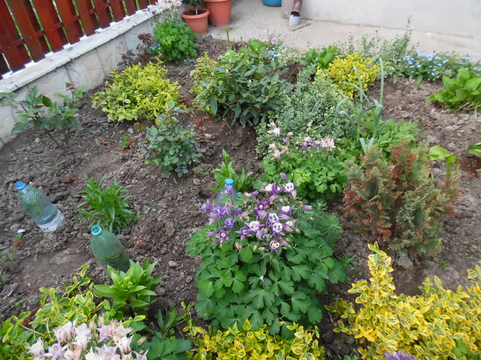 120 - Primavara in gradina 2