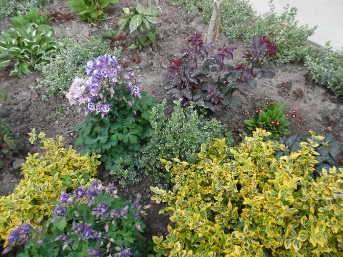 122 - Primavara in gradina 2