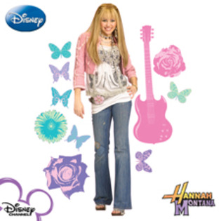 Hannah Montana pink fringe 6X10 225 - Hannah Montana