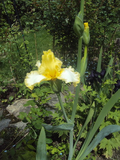 DSC09958
