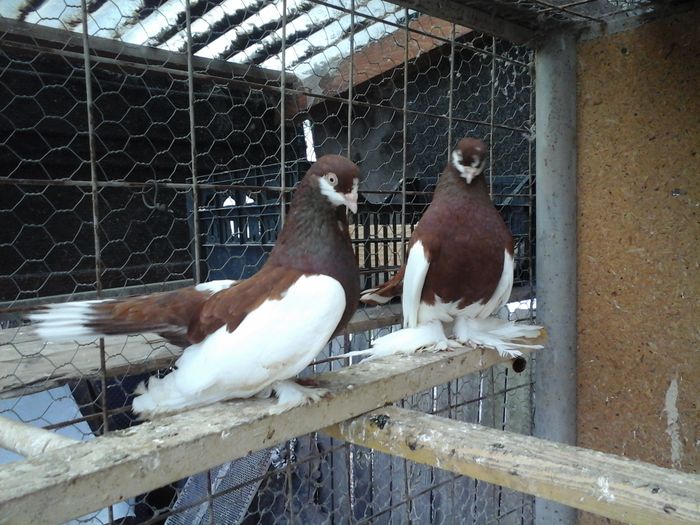 20160507_115209 - VOLGA 2017