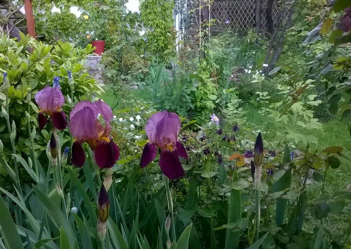 WP_20160506_007