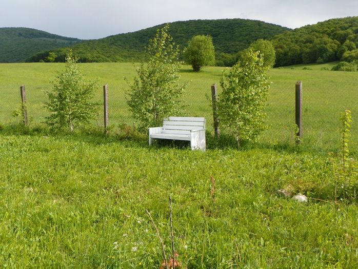 7 mai (138)