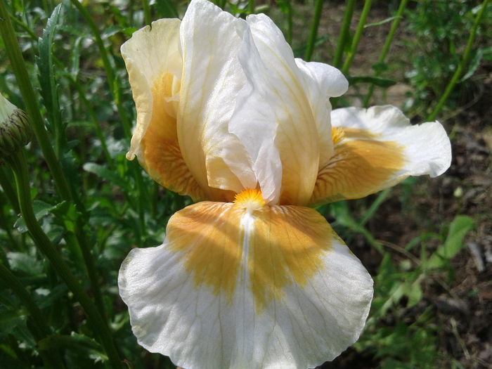 20160506_104623