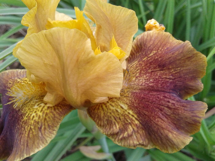 20160506_104715