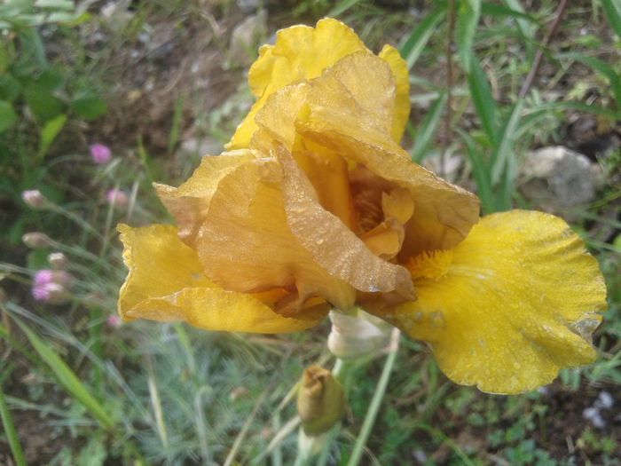 20160508_075903