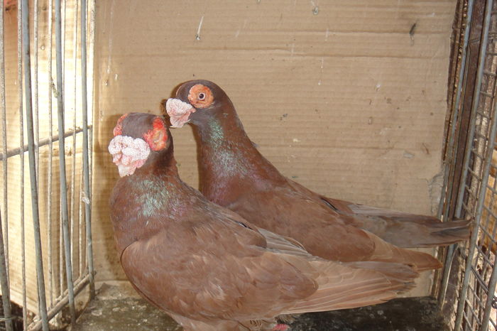 F 2013          M  2015